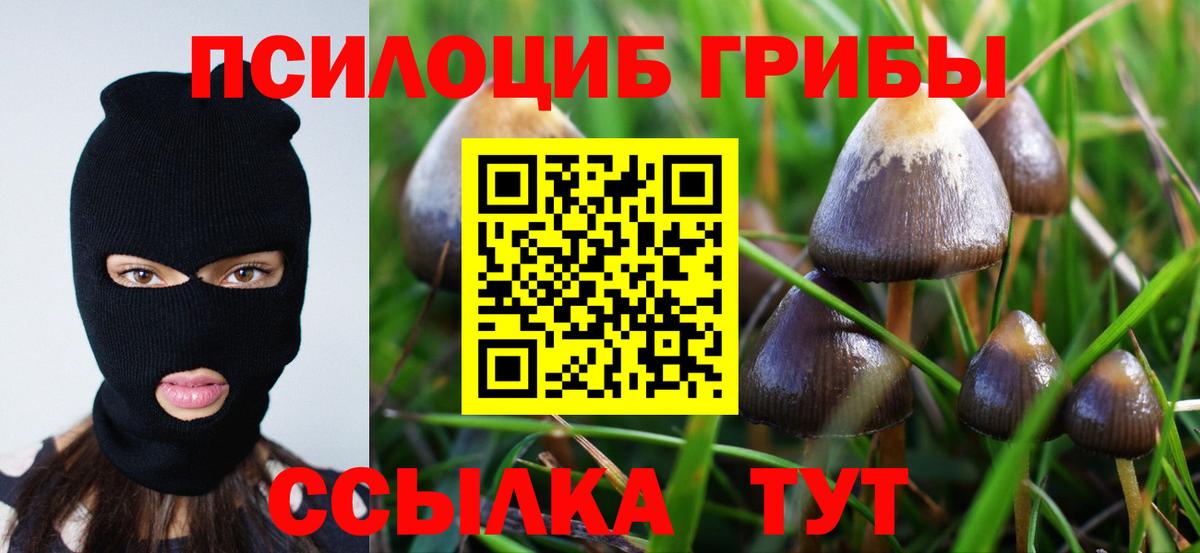Галлюциногенные грибы ЛСД  Вход с VPN  Барабинск 