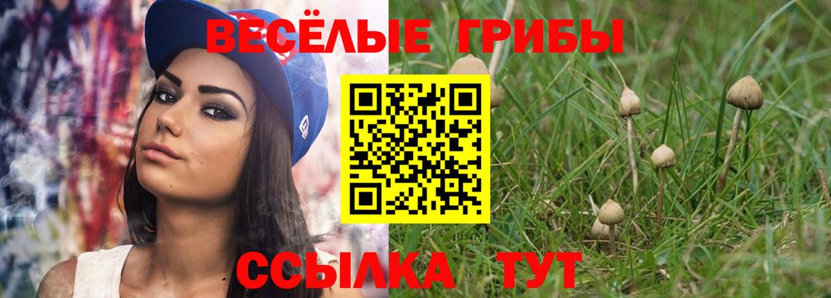 Галлюциногенные грибы Magic Shrooms Барабинск
